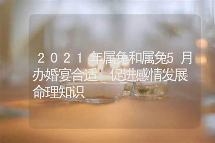 2022年属兔感情劫难