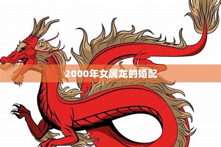 2000年属龙结果最佳年龄