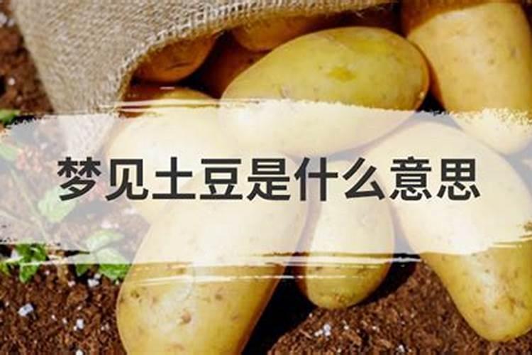 梦到土豆是什么意思