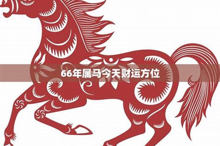 66年属马男在2021年各月份的运势如何