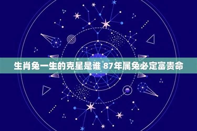 生肖兔一生的克星是谁属兔的一生运程