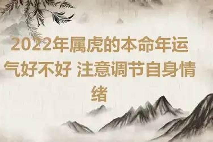 2022年属虎的本命年好不好运