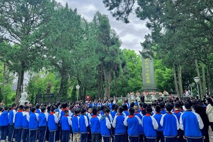 小学清明节祭扫