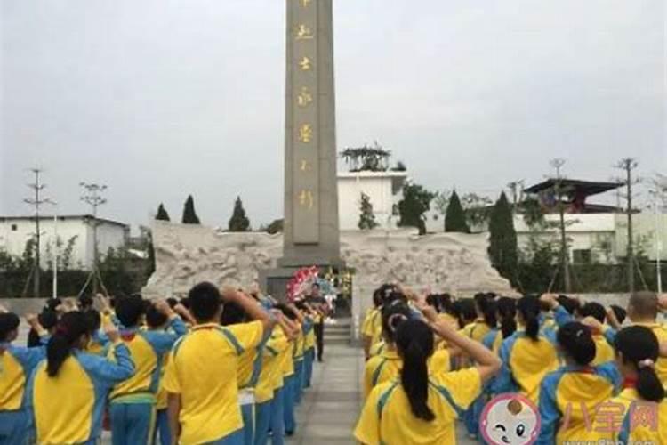 小学清明节祭扫