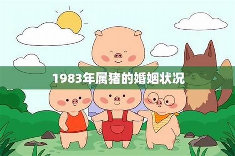 1983年的猪婚姻不顺