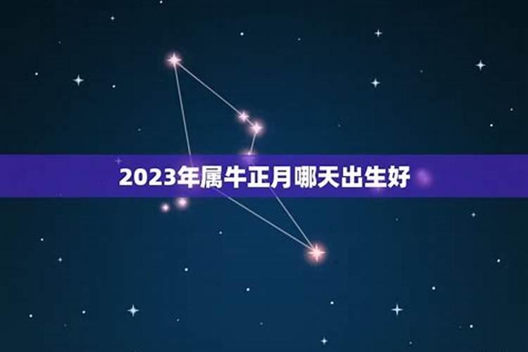 2023年正月初二出生好