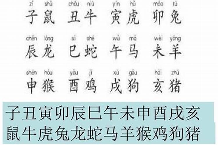 生辰八字有三牛的好吗