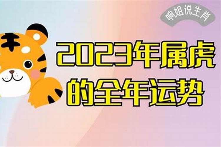 2023年属虎人全年运势