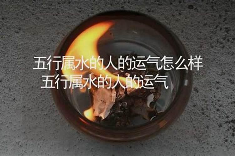 五行属水今年运势