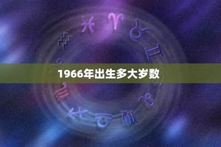 66年属马2023年多大