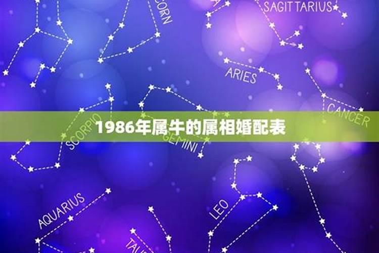 1994年属狗人婚姻方向