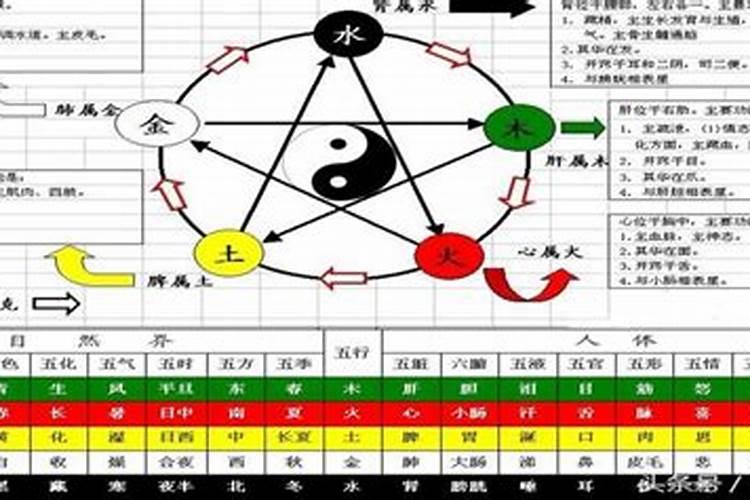 属兔人2023年运势运程跳槽