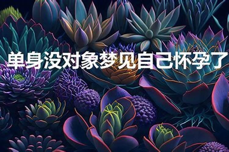 离异单身梦到前妻怀孕