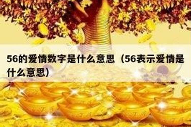 则爱情运势什么意思