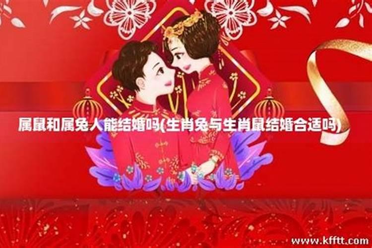 属鼠兔年结婚好吗