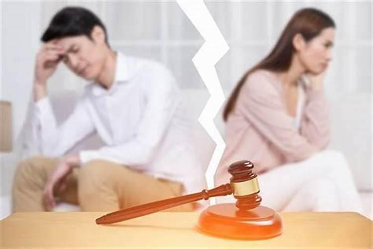 属狗的女人今年会离婚吗为什么