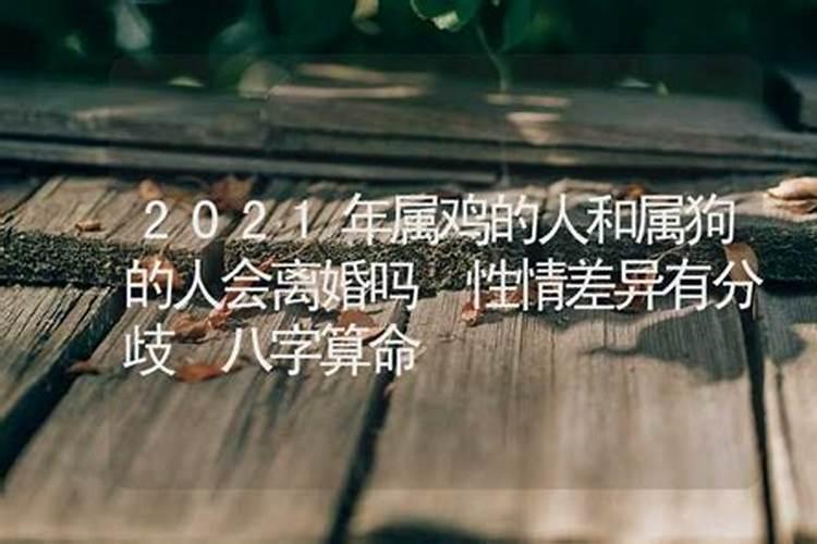 2021年属狗的人会不会离婚