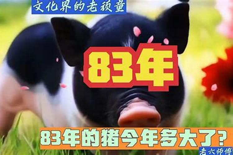 83年属猪的今年多大岁数