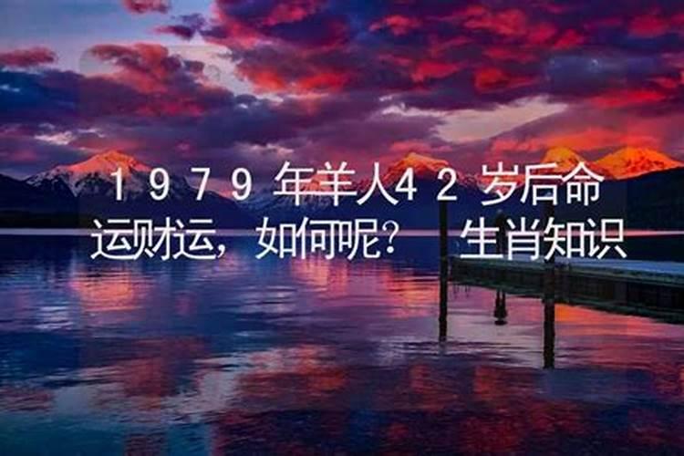 1979年正月初二羊财运