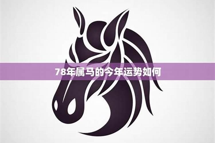 属马的今年运势如何2021