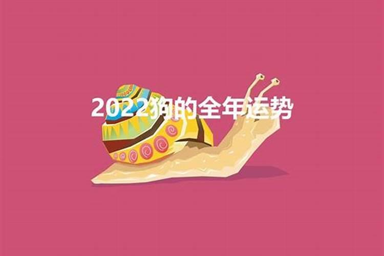 2022年属狗人的桃花运