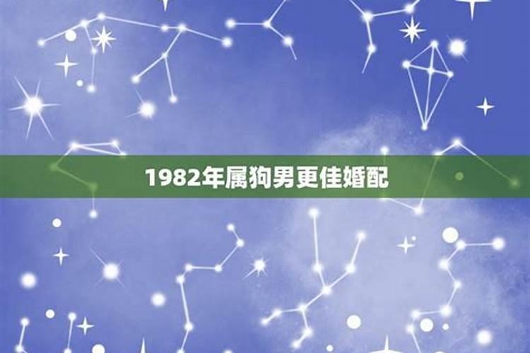 1982年男女都属狗结婚好吗