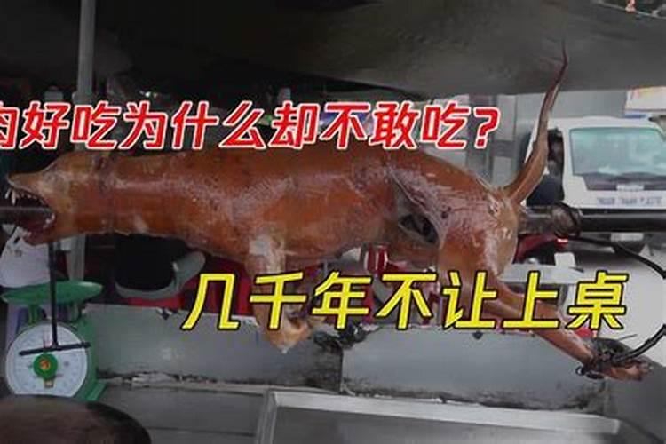 什么运势不可食狗肉