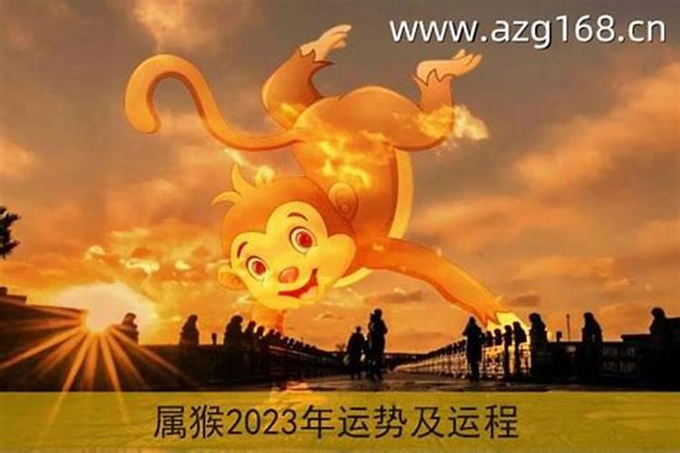 2004年属猴劫在什么时候