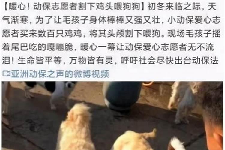 梦见和家人在吃饭什么意思