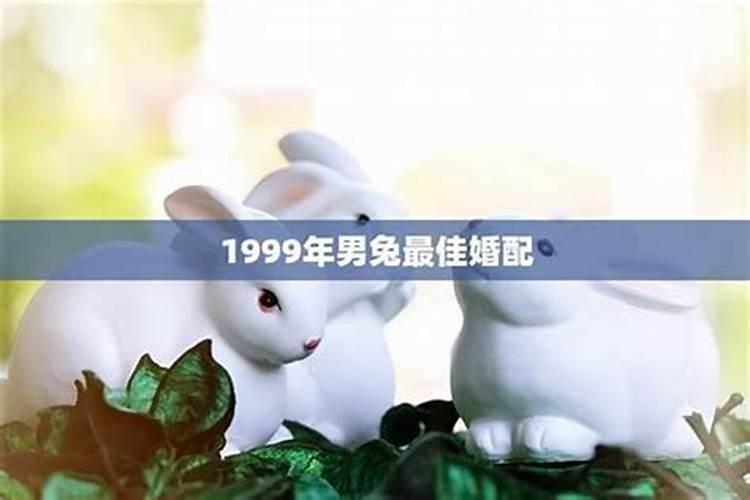 1999年男兔婚姻配吗属相女