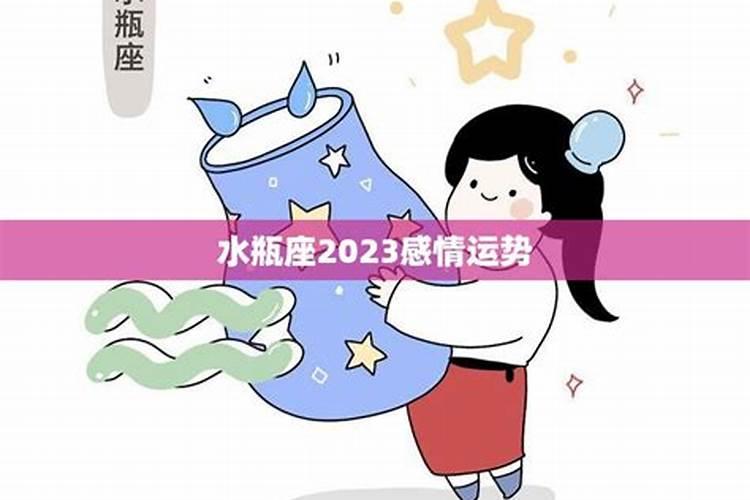 水瓶2023下半年事业运势