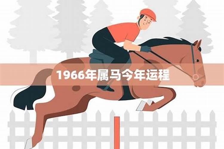 1966年马今年运势