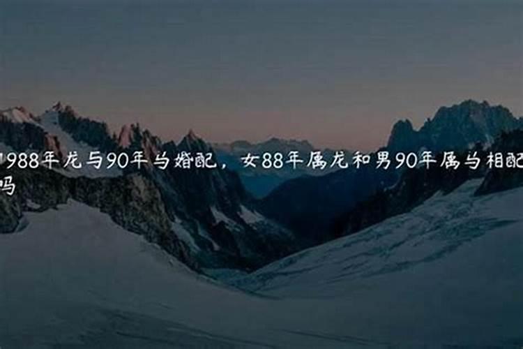 88年属龙男跟90年属马女2023年生兔宝宝怎么样