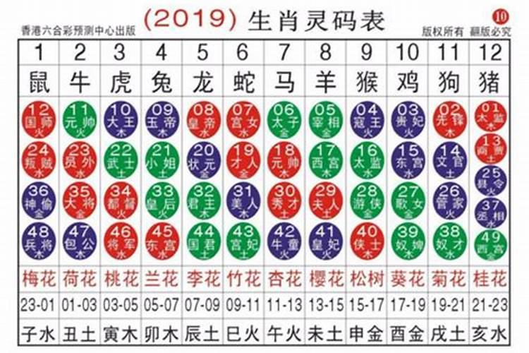 2023兔年生肖排码表