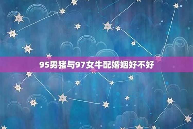 95男属猪和97女属牛2023年结婚吉日