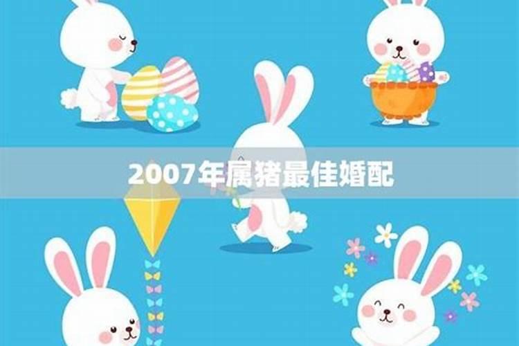 2007年属猪的婚姻搭配