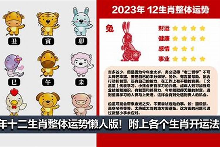 麦玲玲2023年生肖运势详解