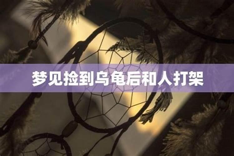 梦见捡到乌龟又跑了什么意思啊