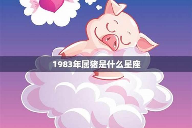 1983年属猪是什么命男