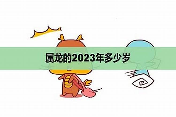 属龙2023年几岁