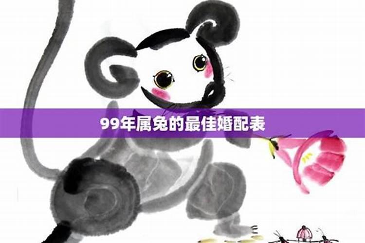 99年属兔的和01的蛇今年婚姻会怎样