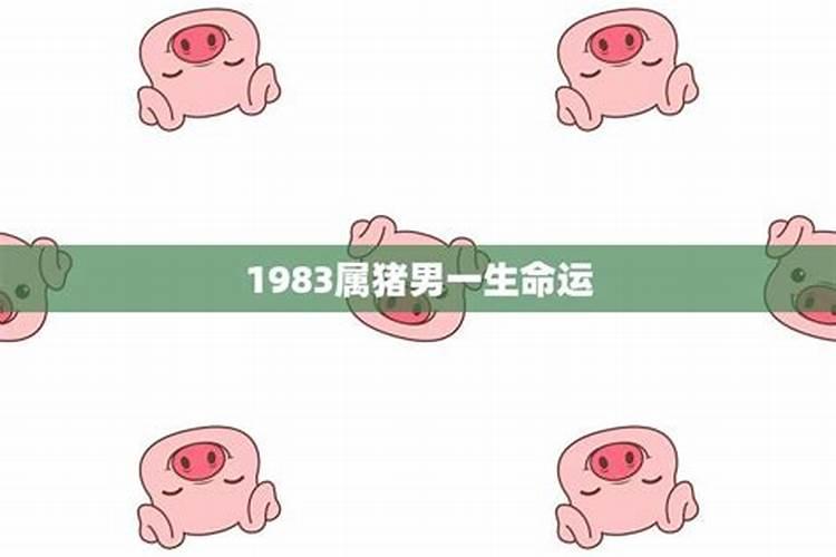 1983年属猪男人一生命运