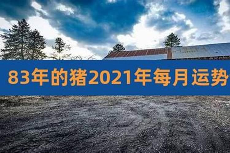 1983年在2023年的运势