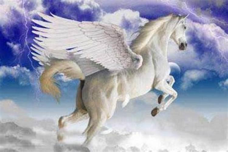 梦见几匹漂亮的马在天上飞来飞去