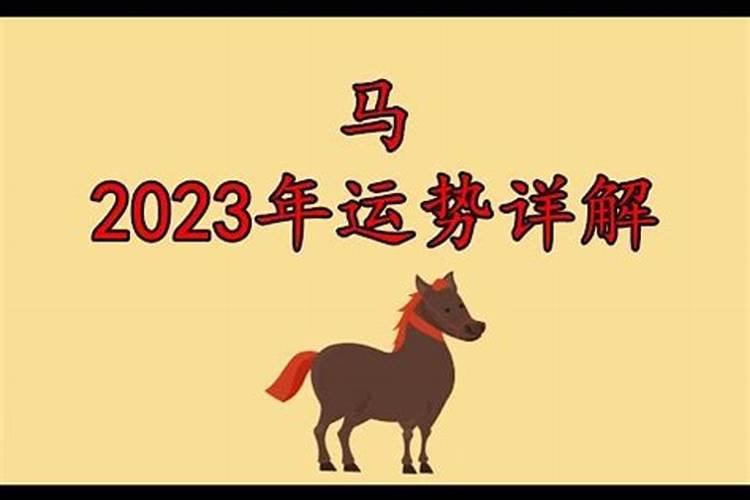 生肖马2023年运势