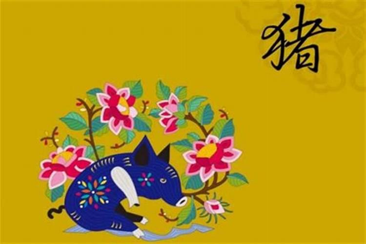 95属猪女今年运势和感情