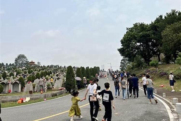 墓园清明祭扫