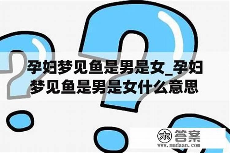 单身女人梦见大鱼预示着什么