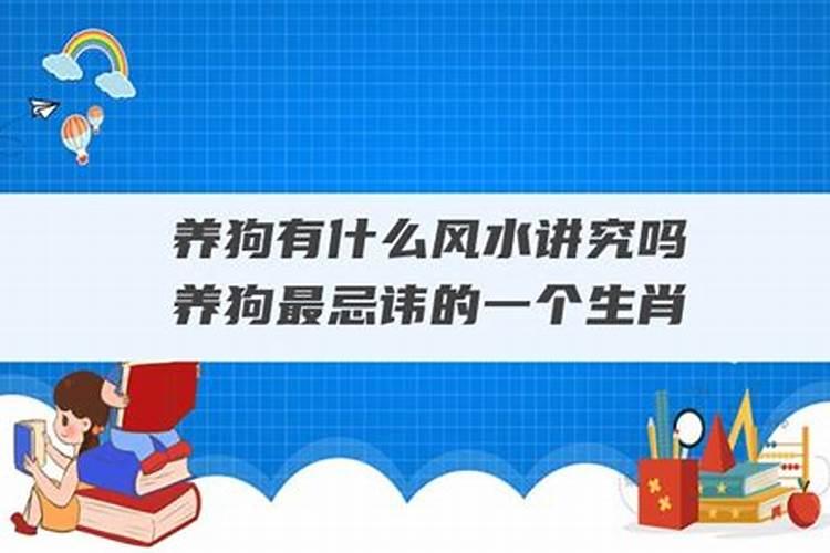 狗最忌讳的三个属相