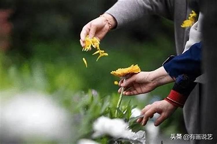 本命年能上坟祭祖吗风水